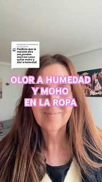 Cómo quitar el olor a humedad y el moho de la ropa paso a paso método seguro y eficaz