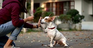 SCE will continue to waive disconnections and late fees until April 2021 for residential customers. Find out about other bill payment programs designed to help us all weather these tough times. Let’s get through this. | Southern California Edison (SCE)