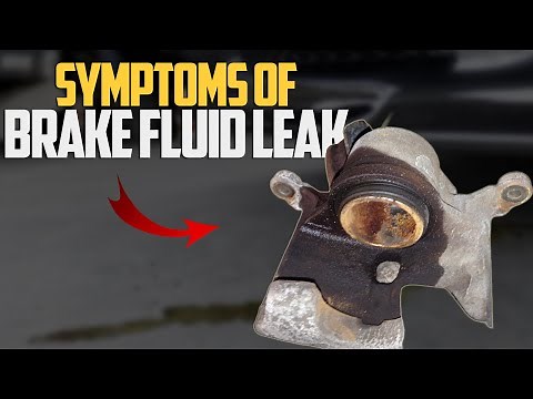 5 Symptoms of Brake Fluid Leak & How to Diagnose?