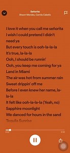 Camila Cabello ft Shawn Mendes - Senorita Song and Lyrics