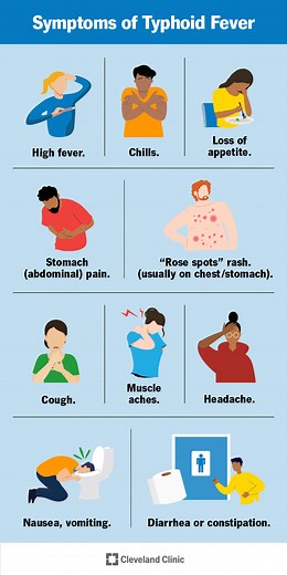 Typhoid Fever: Causes, Symptoms & Treatment