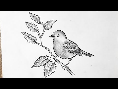 How to draw a bird easy step by step for beginners || Sparrow Drawing