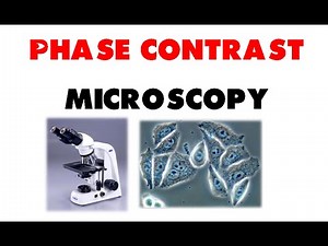 Phase contrast microscopy