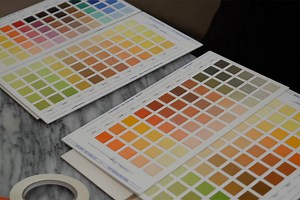 Oil Color Chart Exercises For Artists (Master Your Paint Pallette)