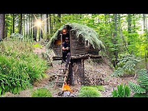 Building a Tree Hut | shelter on a tree stump