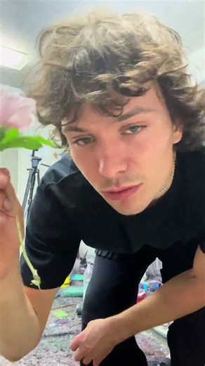 What else can i put inside?