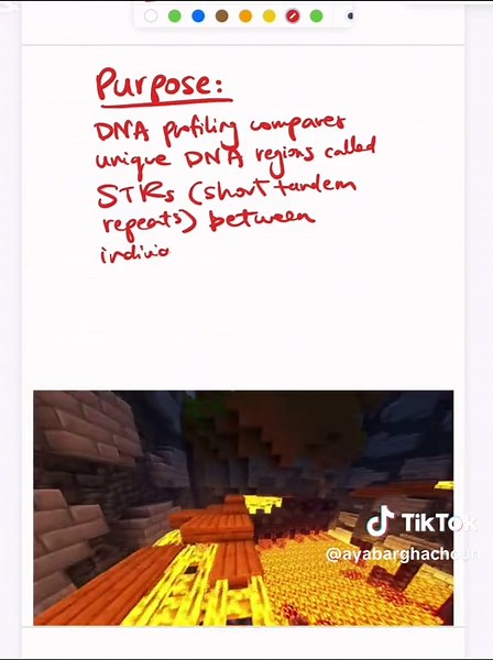 Understanding DNA Profiling and Its Applications