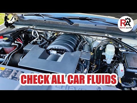 Check ALL Your Vehicle's Fluids Complete How To Guide