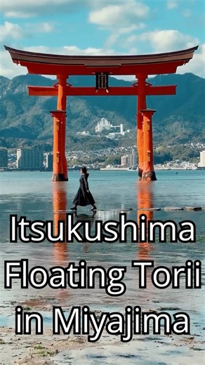 Why Everyone is TALKING About Japan's Mysterious Torii Gate