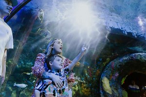 Attractions in Virginia Beach