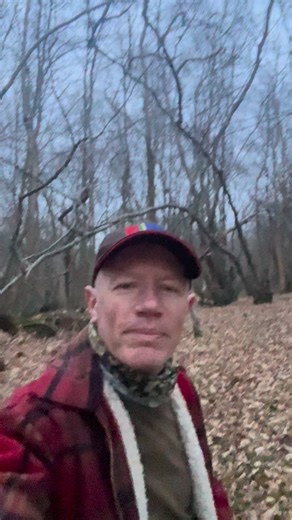 On today’s adventure, Creature makes a fine discovery on a fallen birch tree 🌳 some special ”bracket mushrooms” called ”Red belted polypore” or ”Fomitopsis pinicola”. This bracket fungus usually associated with conifers, possesses some powerful medicinal benefits including anti inflammatory, anti cancer, liver protection, immune system modulation and anti microbial including MRSA. 🦠 what a cool mushroom friend to meet!! 🍄‍🟫🌲🍄🍂 #mushrooms #fomitopsis #foraging | Wildroots Wood