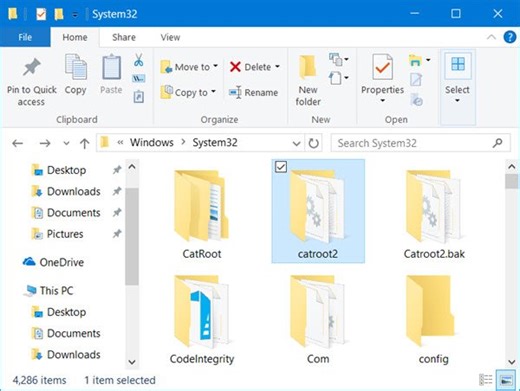What is Catroot & Catroot2 folder? How do you reset catroot2 folder in Windows 11/10
