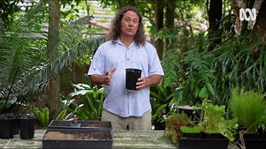 Plants for Ponds - Gardening Australia