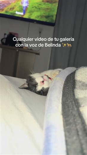 Paula Reyes on TikTok