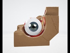 3D Models in Microsoft 3D Viewer: Complete Tutorial 4 | Step-by-Step Guide for Beginners