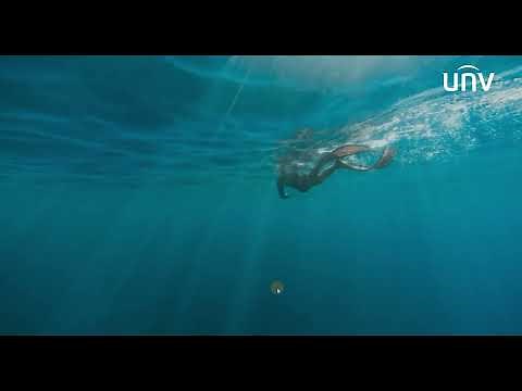 【How to】Reset Uniview Camera Passwords