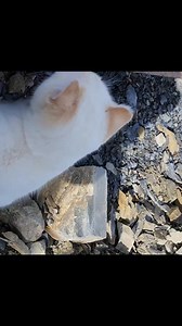 Fossil finding with friends 🙂 (Fossil prep/cleaning tools link: https://amzn.to/4964qwl) | U-Dig Fossils