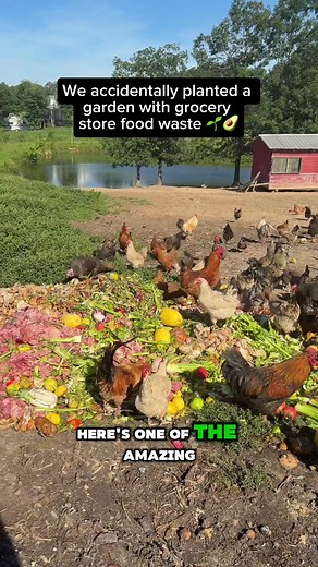 Regenerative agriculture practices to reduce food waste