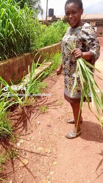 How to Identify Poisonous Mushroom – Certified Farmers | Embraiseagric