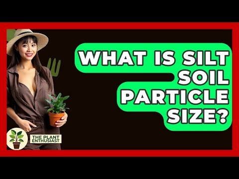 What Is Silt Soil Particle Size? - The Plant Enthusiast