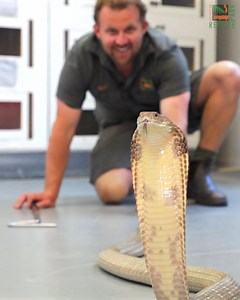 2.8K views · 1.8K reactions | Meet our newessssst additions!  The...