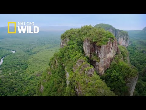 COLOMBIA SALVAJE: ESPECIAL CHIBIRIQUETE - NATGEO WILD