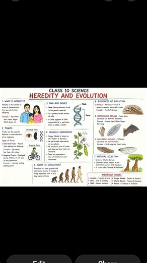 Class 10 Science | Heredity and Evolution Explained with Diagrams | SSC Board Biology Chapter#shorts