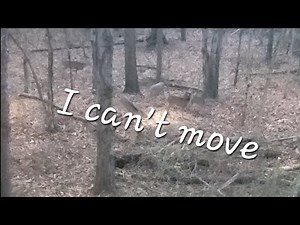 OHIO' Hot spots for deer.