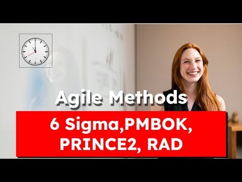 Six Sigma, PMI, PRINCE2 & RAD (Project Methods Explained Fast) #projectmanagement #agile #project