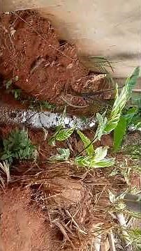 What is Stormwater Drainage System Stormwater Drainage Design