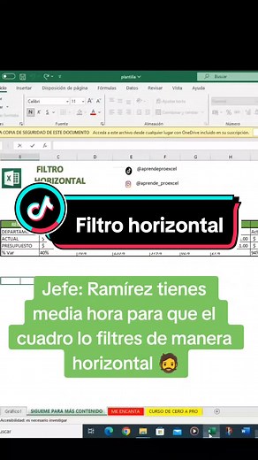 Cómo aplicar el filtro horizontal en Excel
