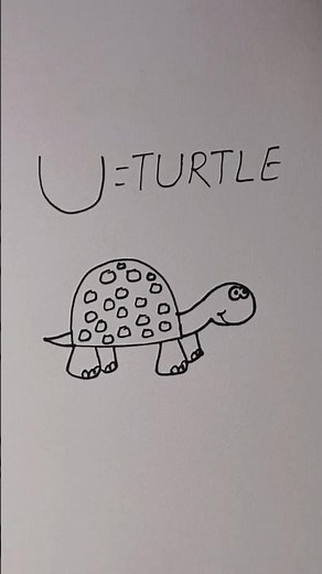 how to draw turtle easy for beginner