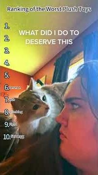 Ranking The Worst Cat Plush Toys 😹 #funnycats #ranking