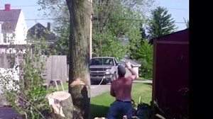 Chainsaw Disasters: Dangerous Tree Felling Fails and Trees Crushing Homes