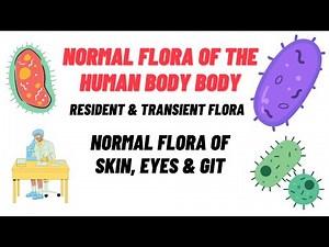 Normal flora of human body | Microorganisms and Humans | Microbiology