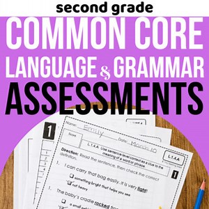 2nd Grade ELA Assessments or Worksheets for Grammar & Language - Common Core