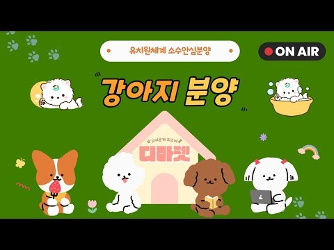 ⭐️유치원체계 , 소수집중케어⭐️ #강아지분양 #강아지라방 #강아지영상 #puppy #인천강아지분양 #강아지영상 #말티푸분양 #포메라니안분양 #미니비숑분양