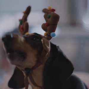 22K views · 228 reactions | Be there for the moments that matter. Just tap a button to request a ride from over 400+ airports. ubr.to/airports | Uber | Facebook