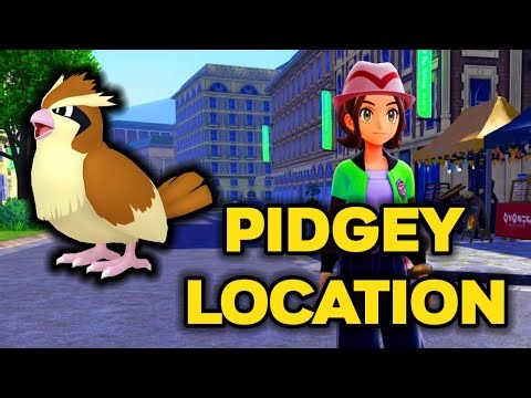 How to Catch Pidgey in Pokemon Legends: Z-A!