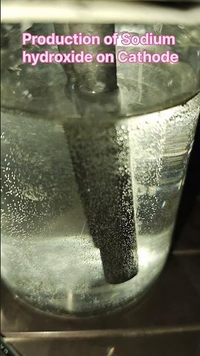 Chlor alkali reaction, Electrolysis of salt solution #experiment #shorts #science #education #school