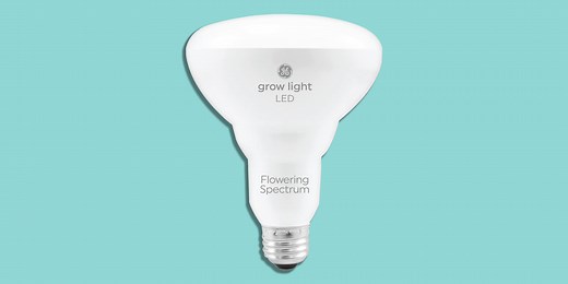 9 Best Grow Lights to Help Your Indoor Plants Flourish