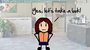 Workplace Safety Laws in Veterinary Medicine