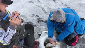 9.6K views · 109 reactions | Ice fishing has begun on Lake of the...