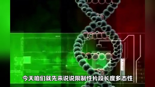 什么是DNA的限制性片段长度多态性？RFLP——一种典型的遗传标记