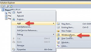 SSRS ReportViewer Control for Windows Applications