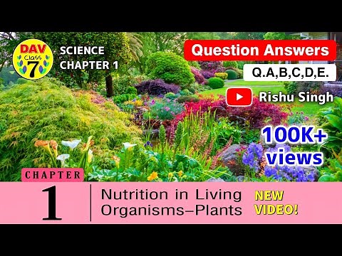 🍎Nutrition in Living Organisms-Plants | Dav Class 7 Science Chapter 1 Question Answer | Q.A,B,C,D,E.