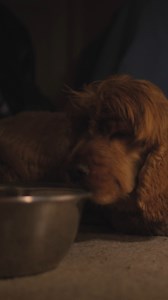 15K views · 231 reactions | "A simple act of kindness can save...