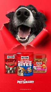 21 reactions | From crunchy biscuits to soft & chewy snacks, Milk-Bone® treats give your dog more to love. Find their faves at PetSmart. | PetSmart | Facebook