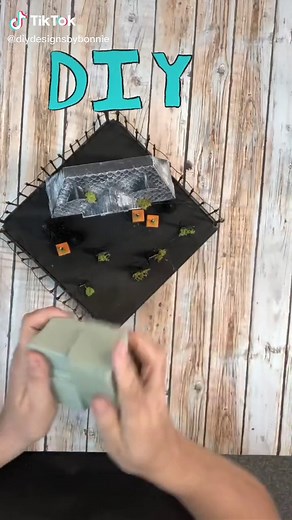 DIY with Bonnie on TikTok