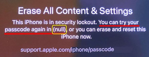 How to Fix "You Can Try Your Passcode Again in Null" Error [Updated] - SoftwareDive.com